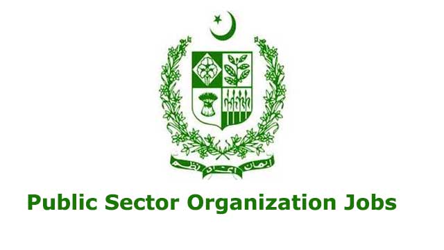 Public-Sector-Organization